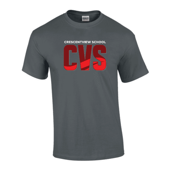 CVS - G200 Gildan Ultra Cotton T-Shirt - Charcoal